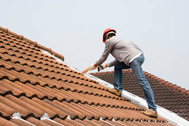 Best Skylight Installation and Repair  in Mcelhattan, PA